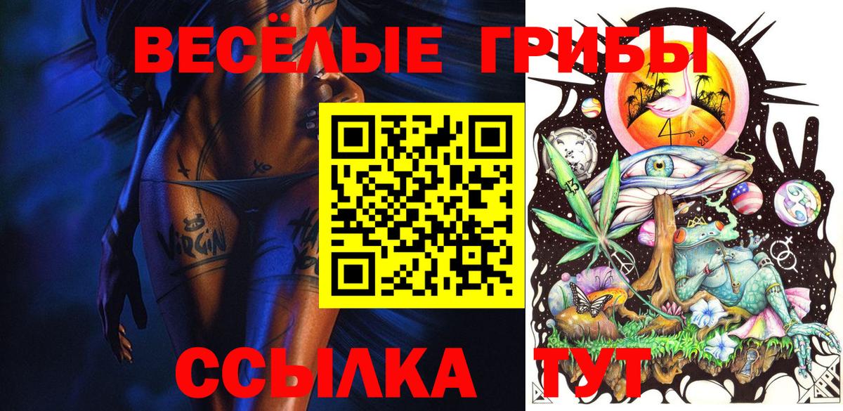 как найти   Галлюциногенные грибы GOLDEN TEACHER  Вход с VPN  Тихвин  Псилоцибиновые грибы прущие грибы 
