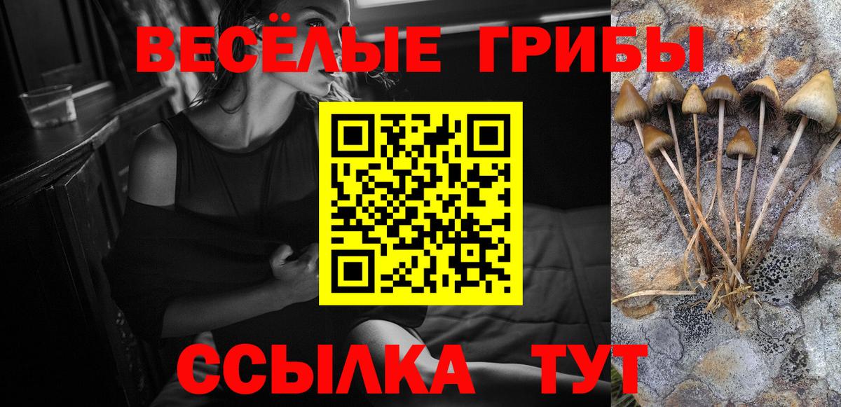 Галлюциногенные грибы Cubensis Тихвин